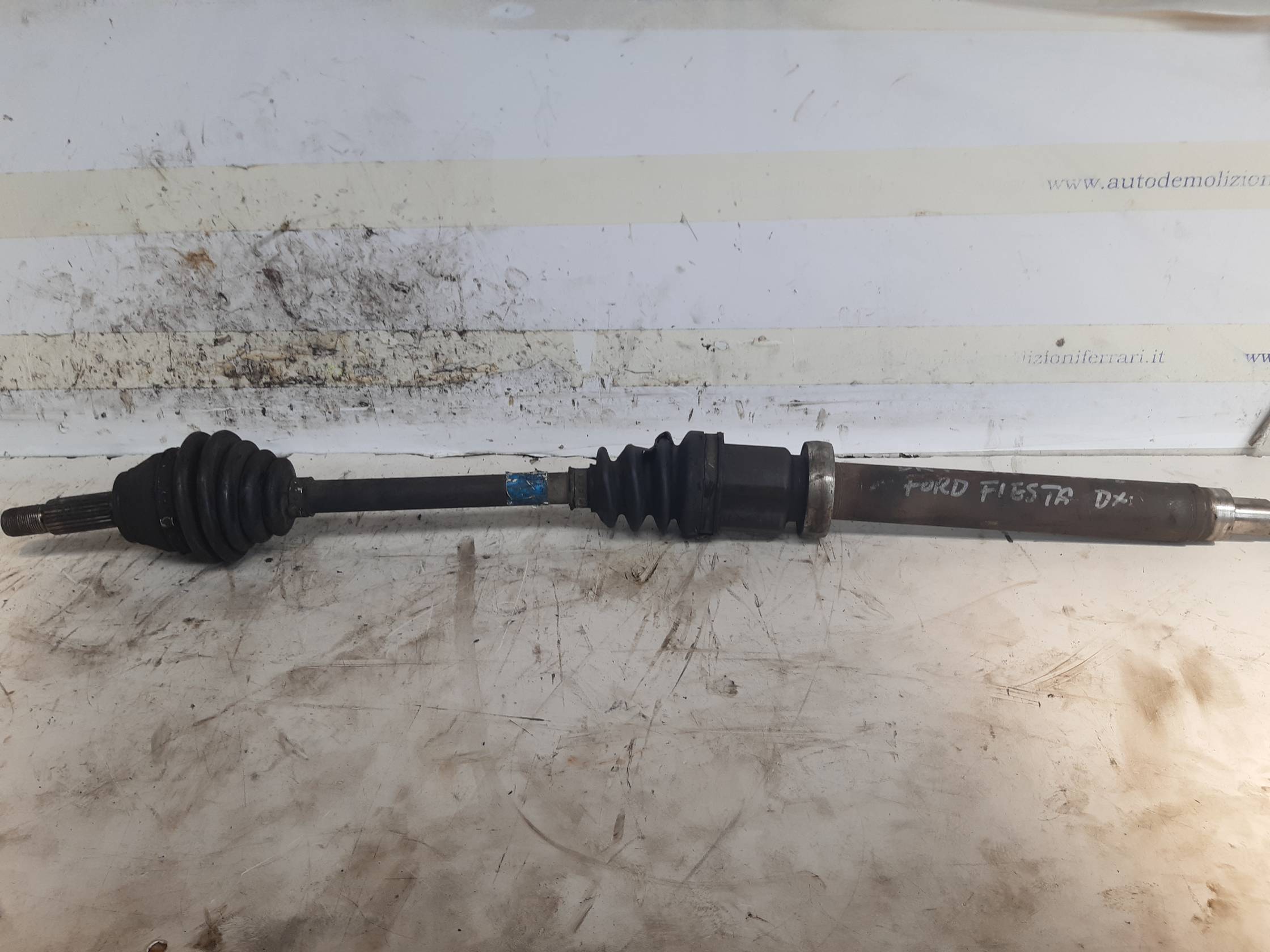 Semialbero ant. compl. dx.