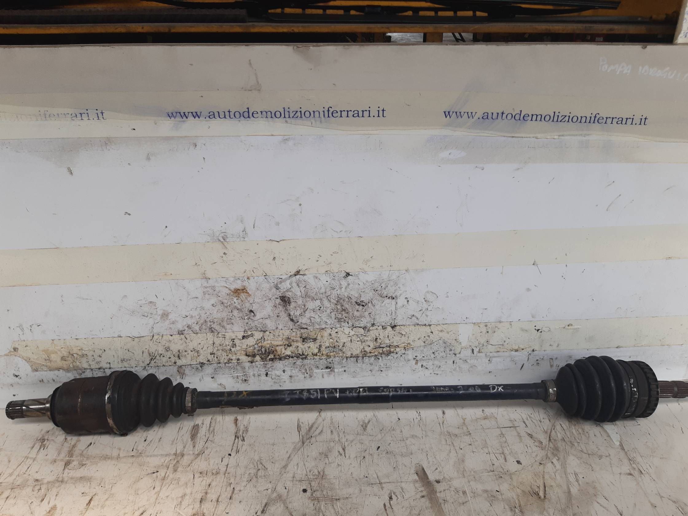 Semialbero ant. compl. dx.