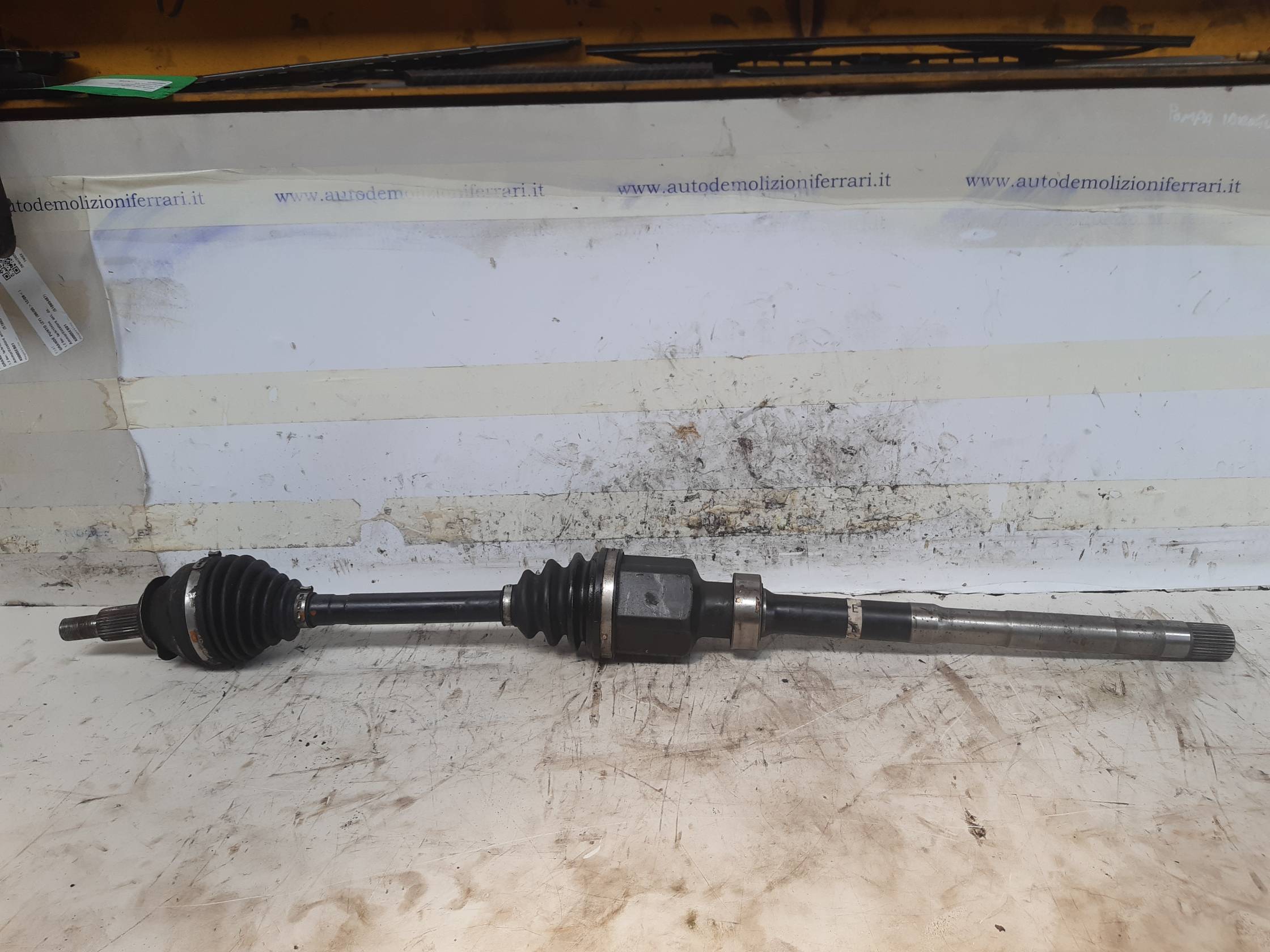 Semialbero ant. compl. dx.