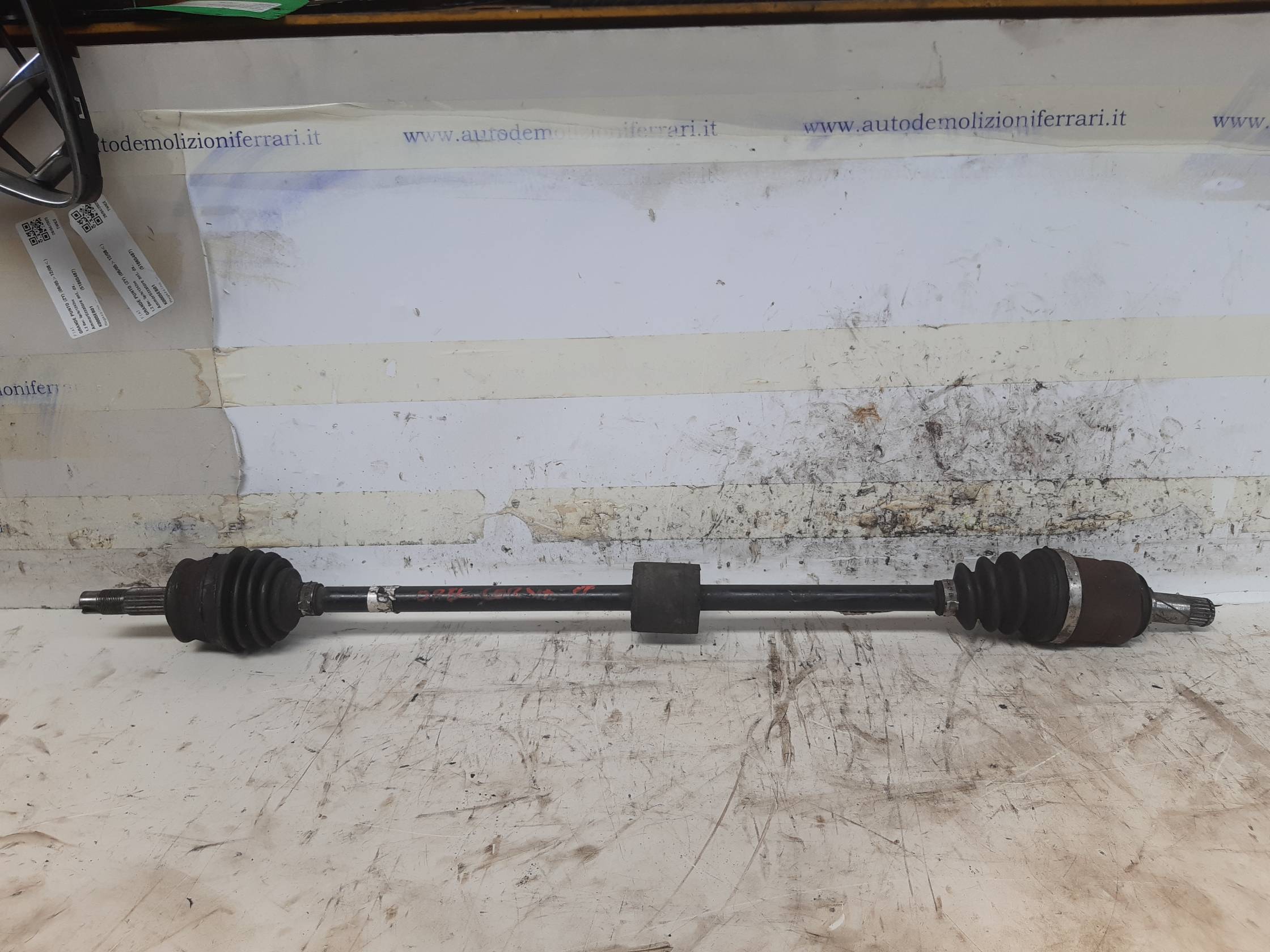 Semialbero ant. compl. dx.