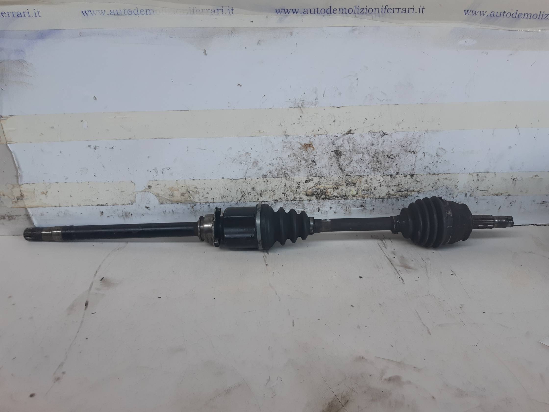 Semialbero ant. compl. dx.