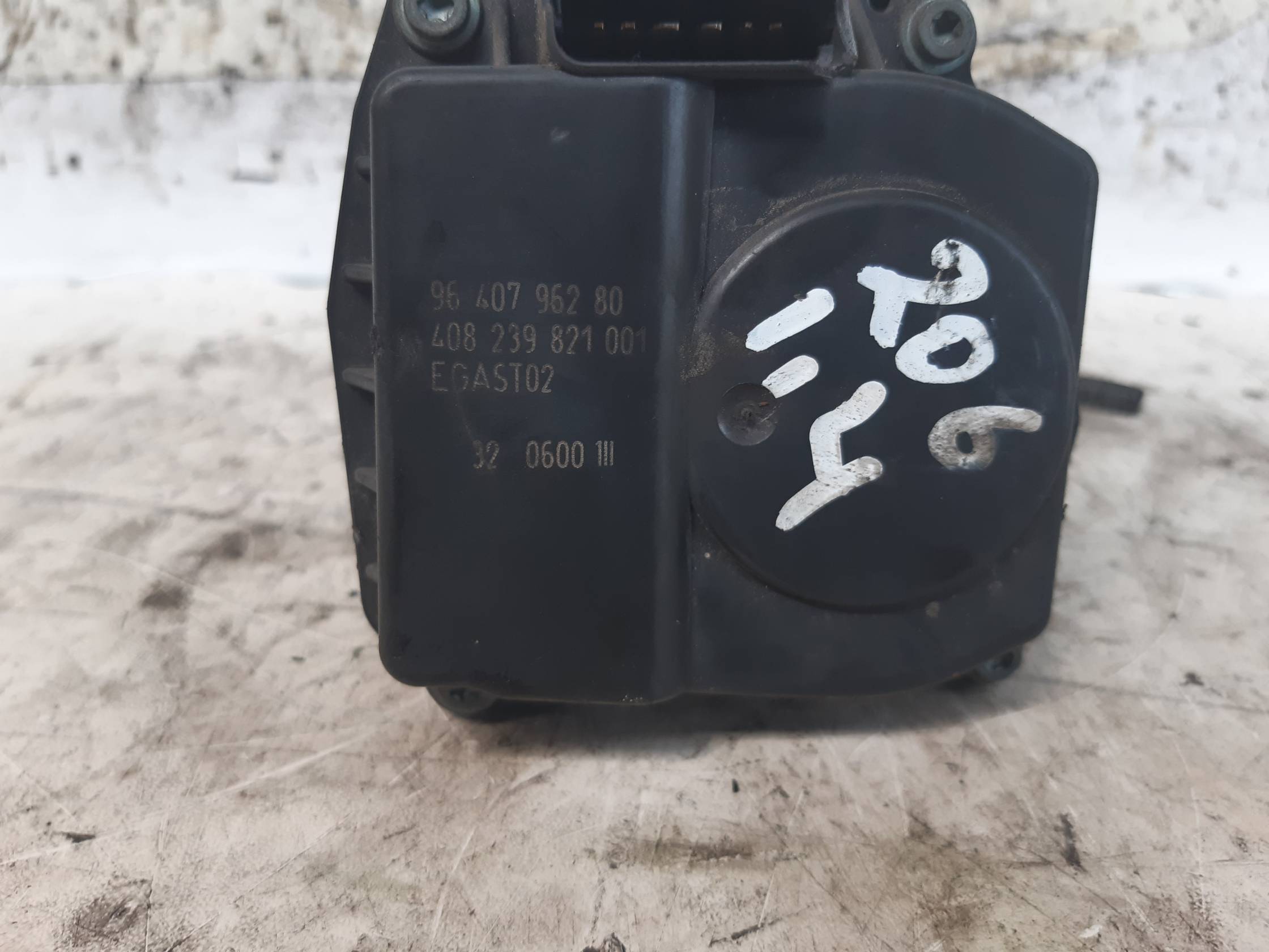 Corpo farfallato Corpo farfallato