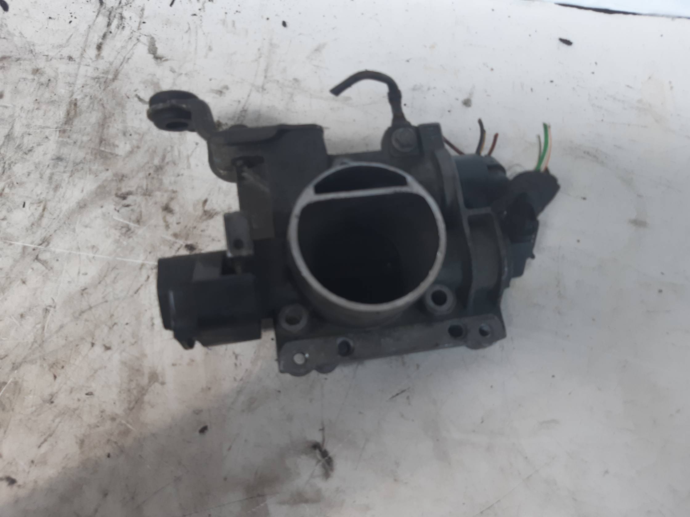 Corpo farfallato Corpo farfallato