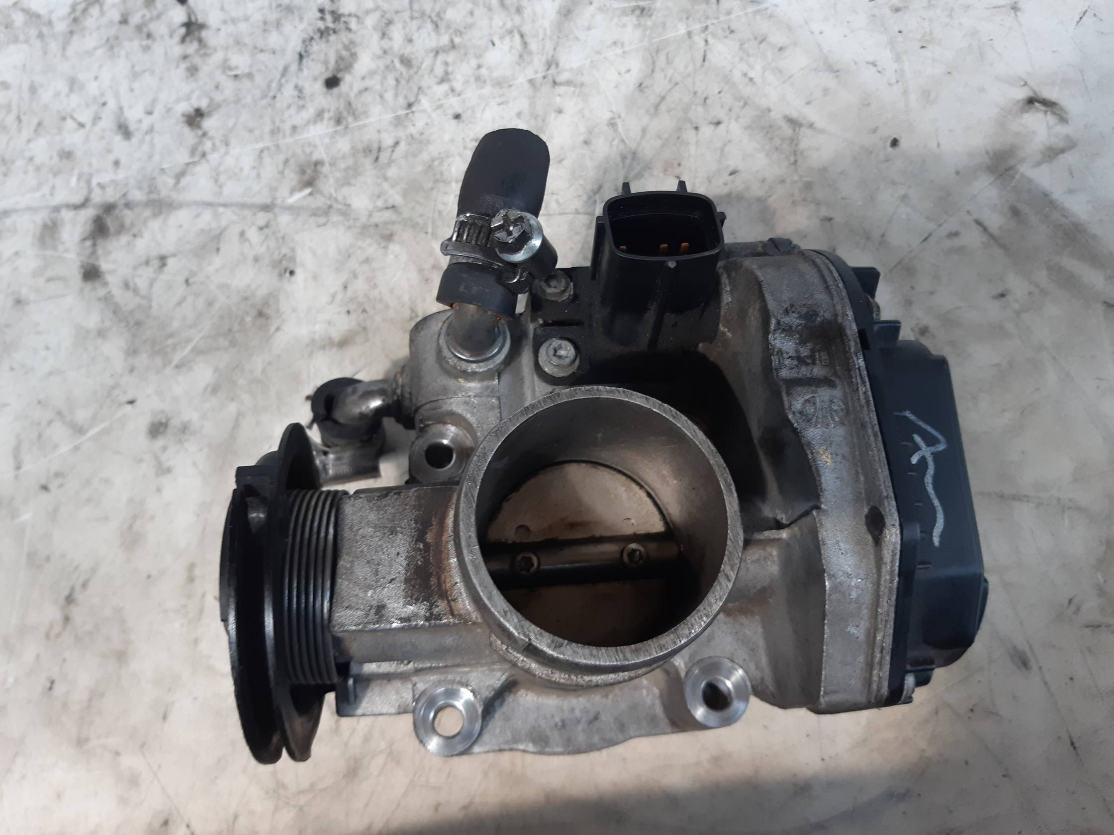 Corpo farfallato Corpo farfallato