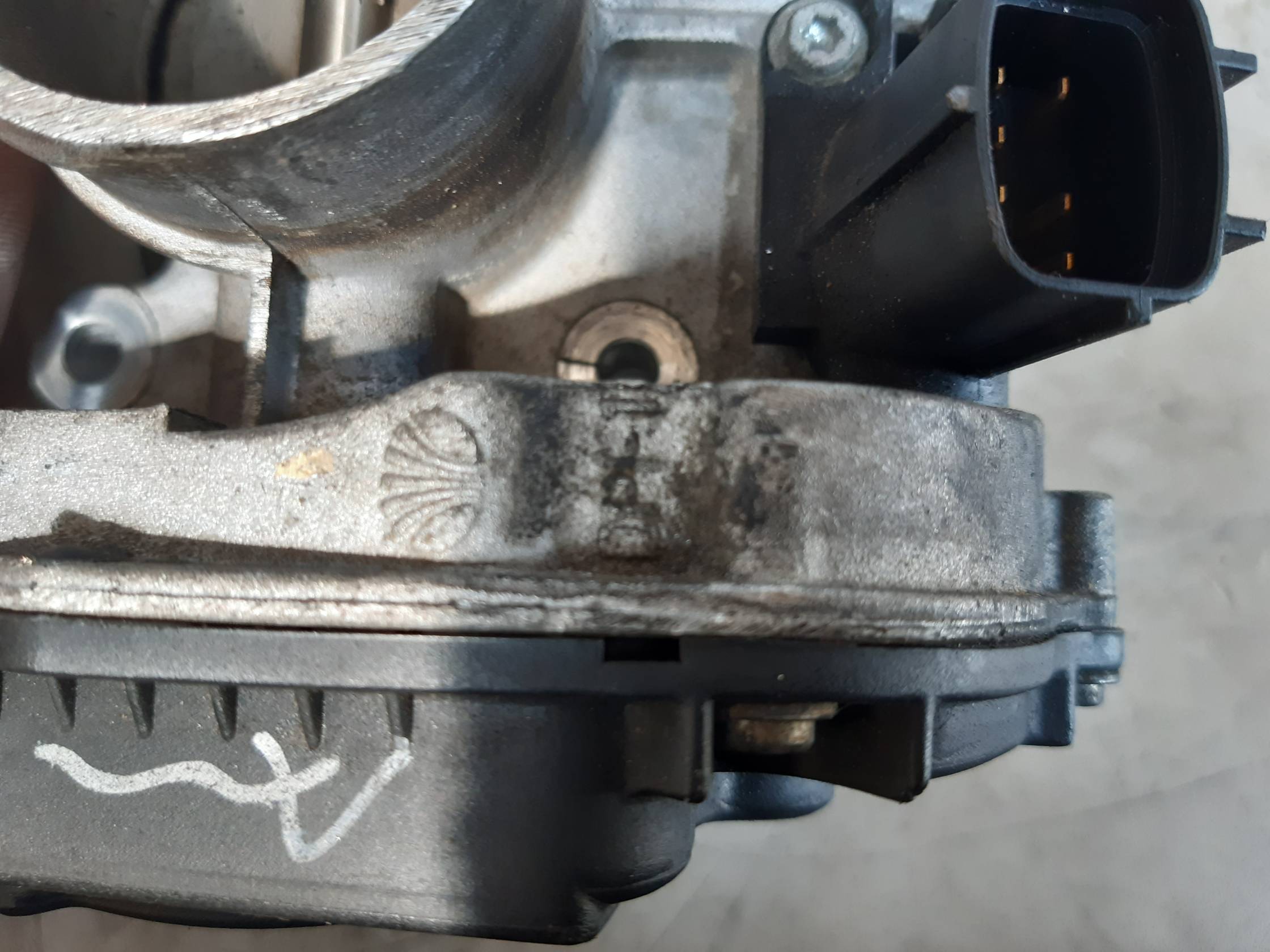 Corpo farfallato Corpo farfallato