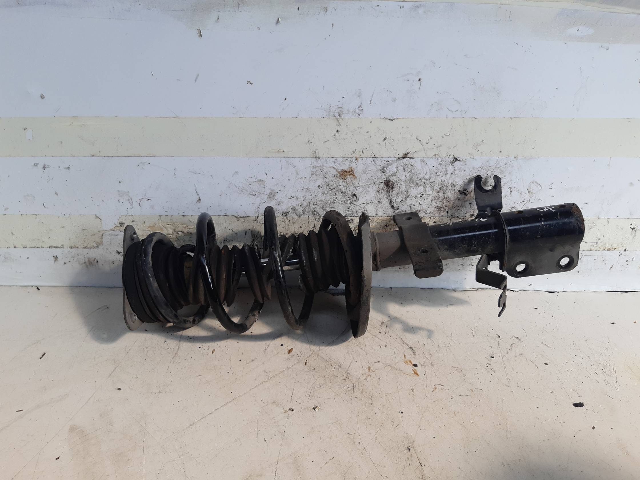 Ammortizzatore ant. sx.