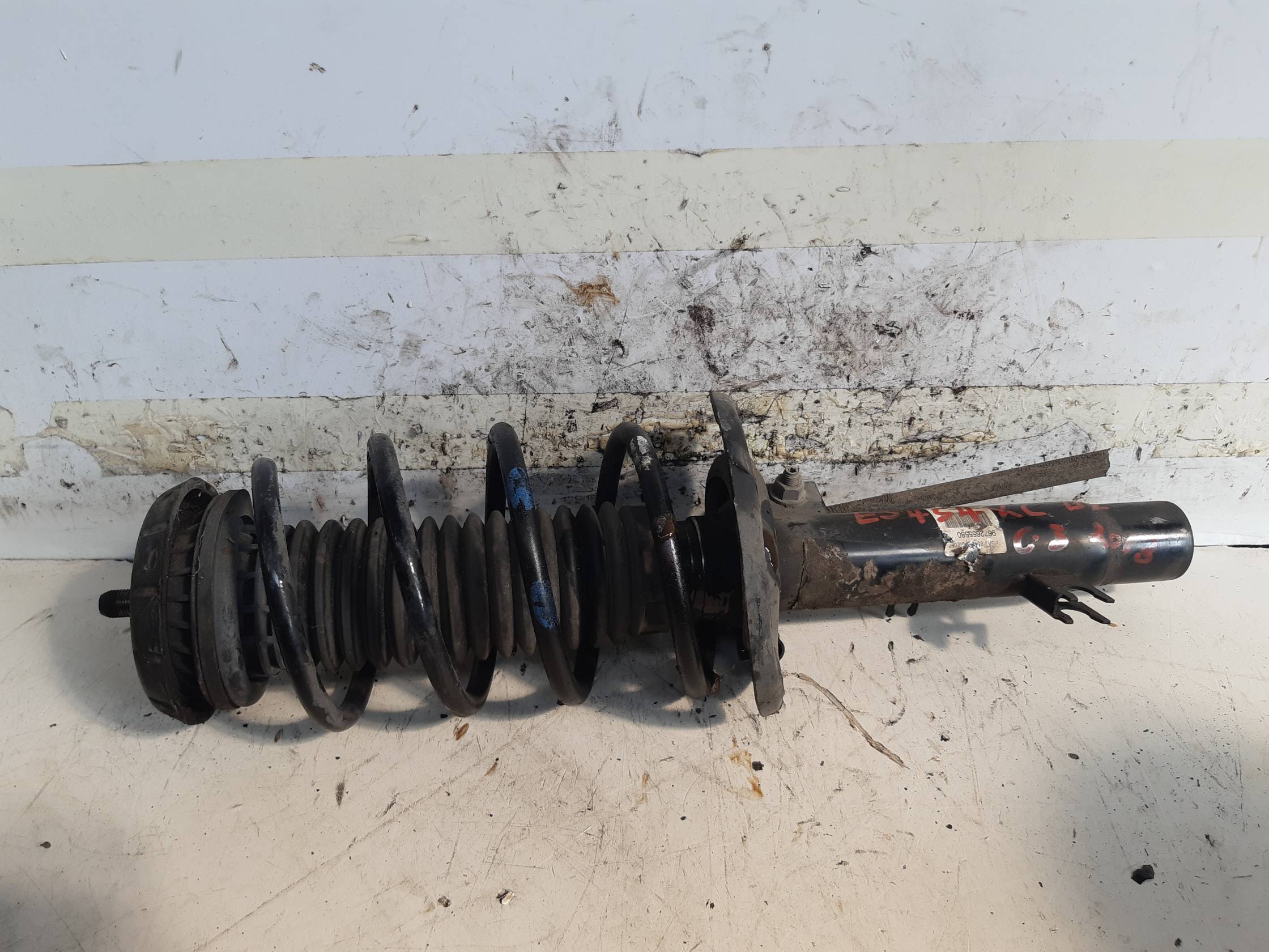 Ammortizzatore ant. dx.