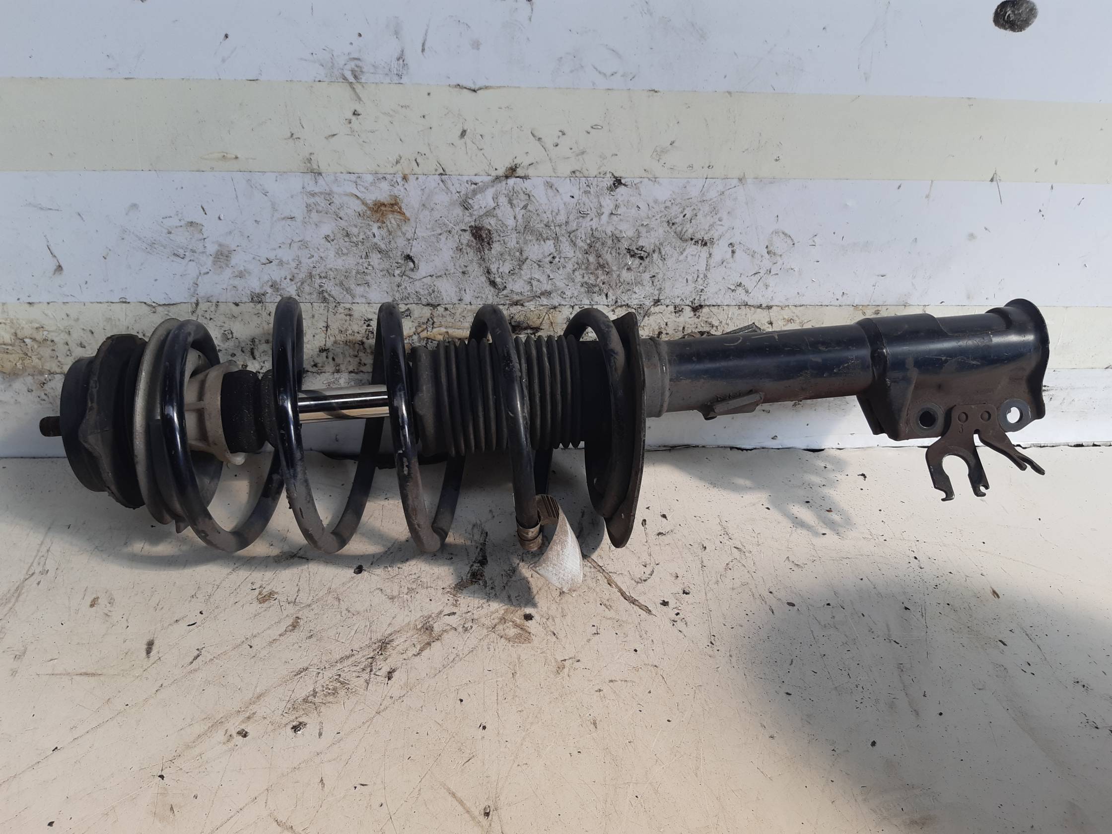 Ammortizzatore ant. sx.