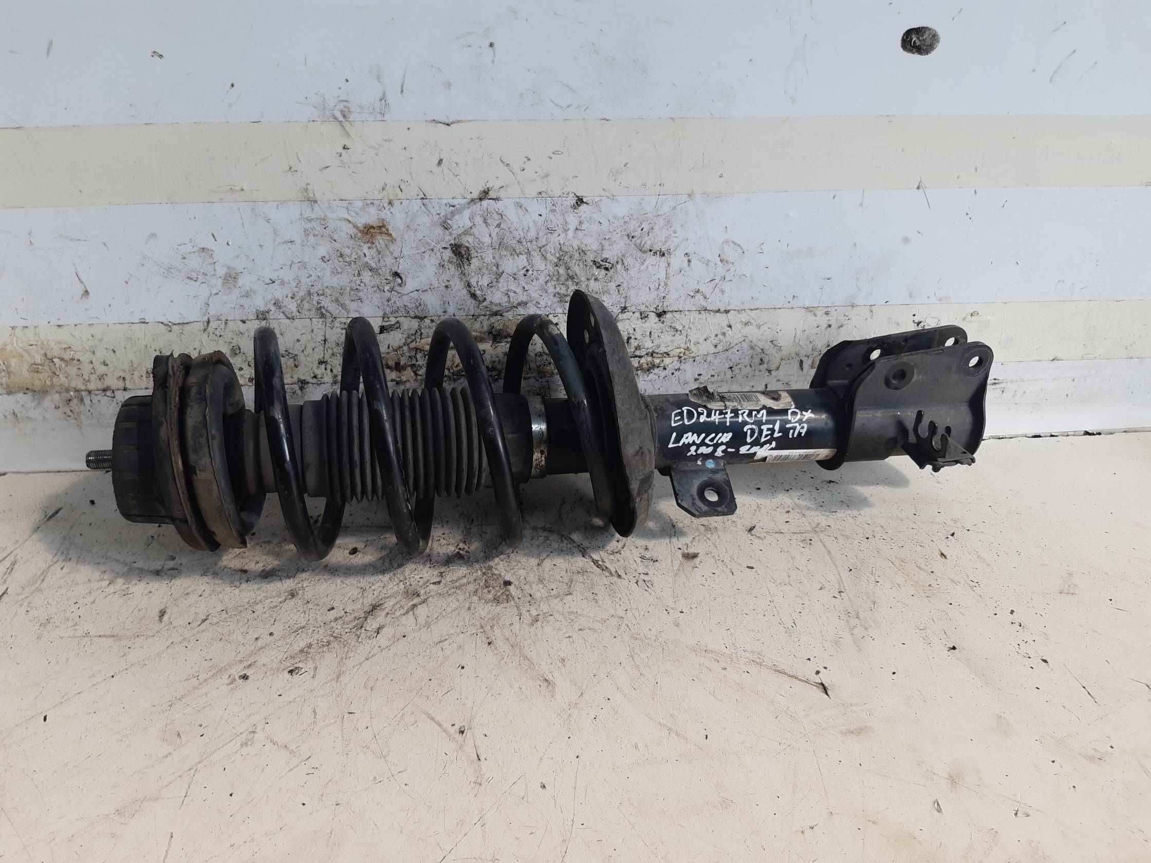 Ammortizzatore ant. dx.