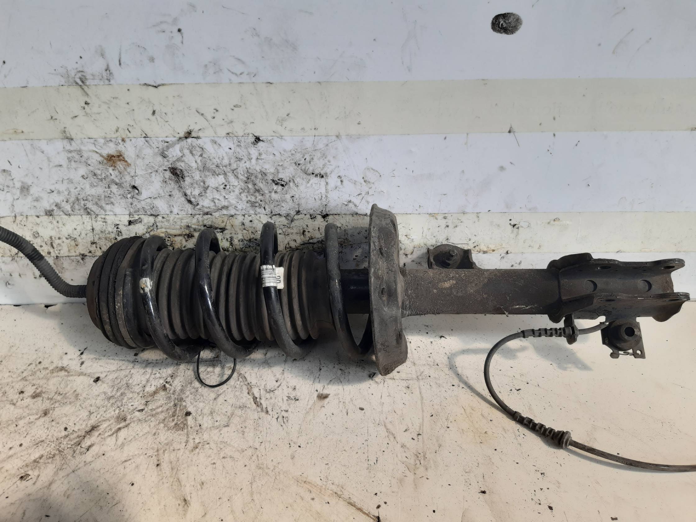 Ammortizzatore ant. sx.