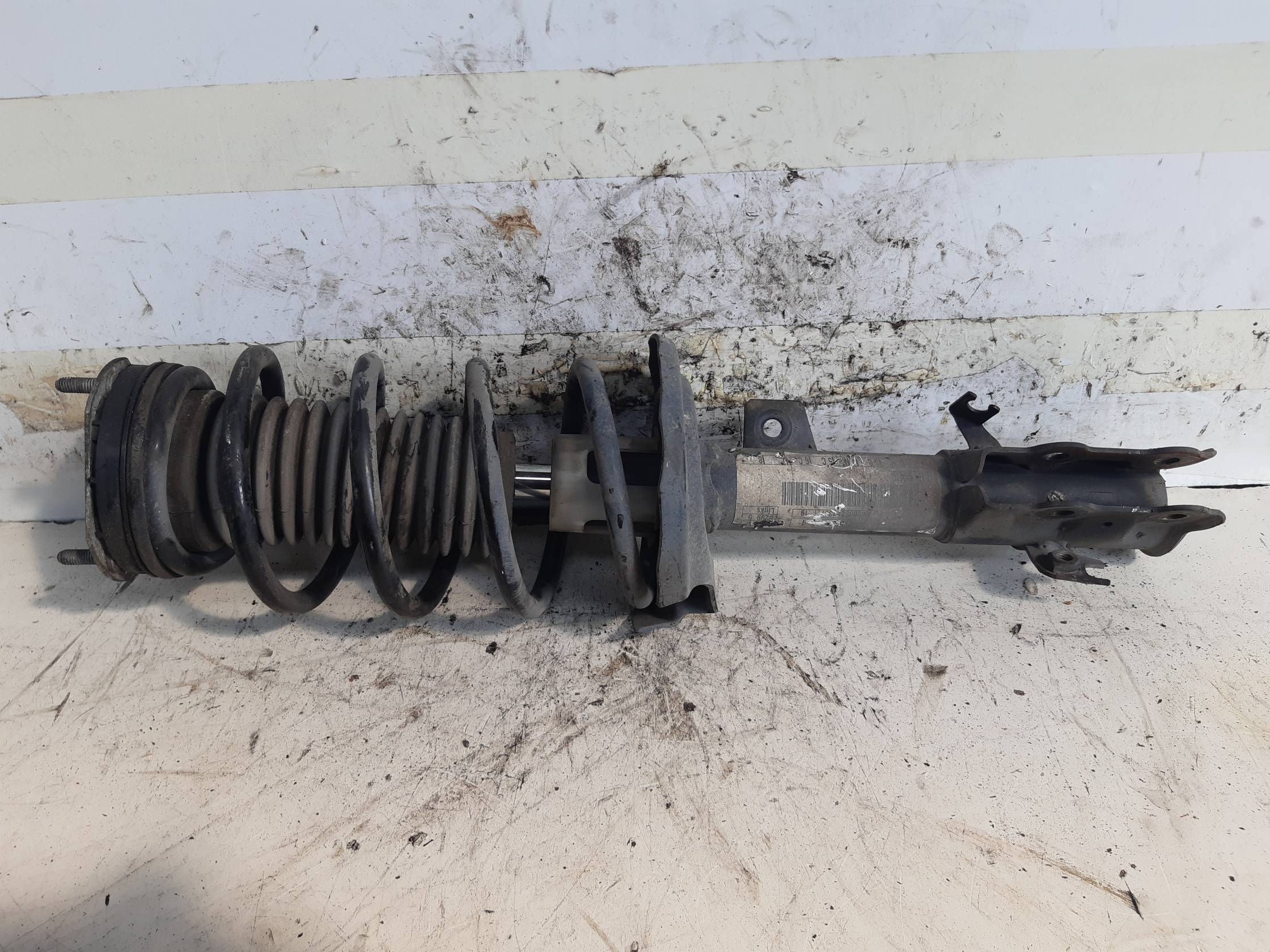 Ammortizzatore ant. sx.