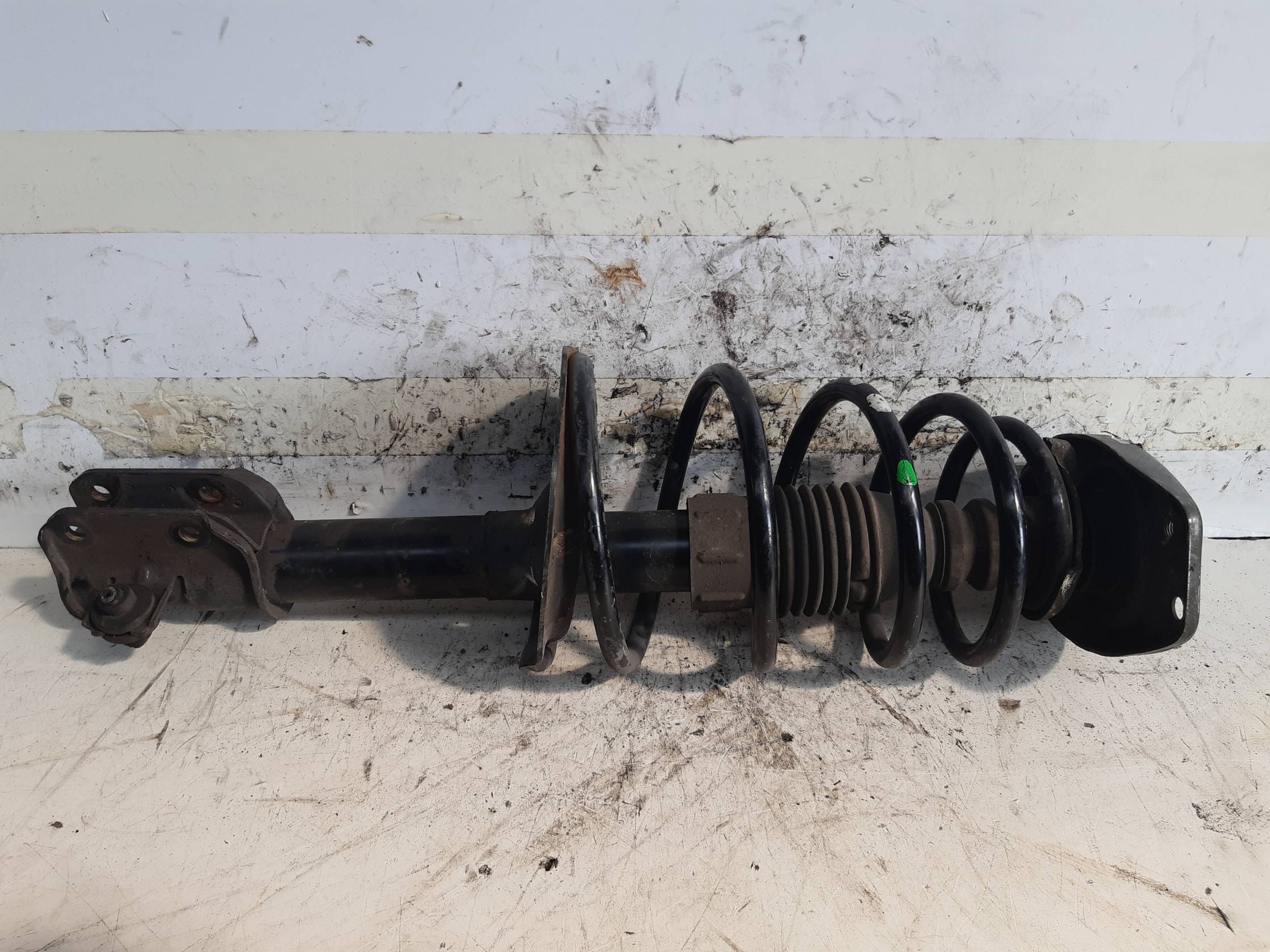 Ammortizzatore ant. sx.