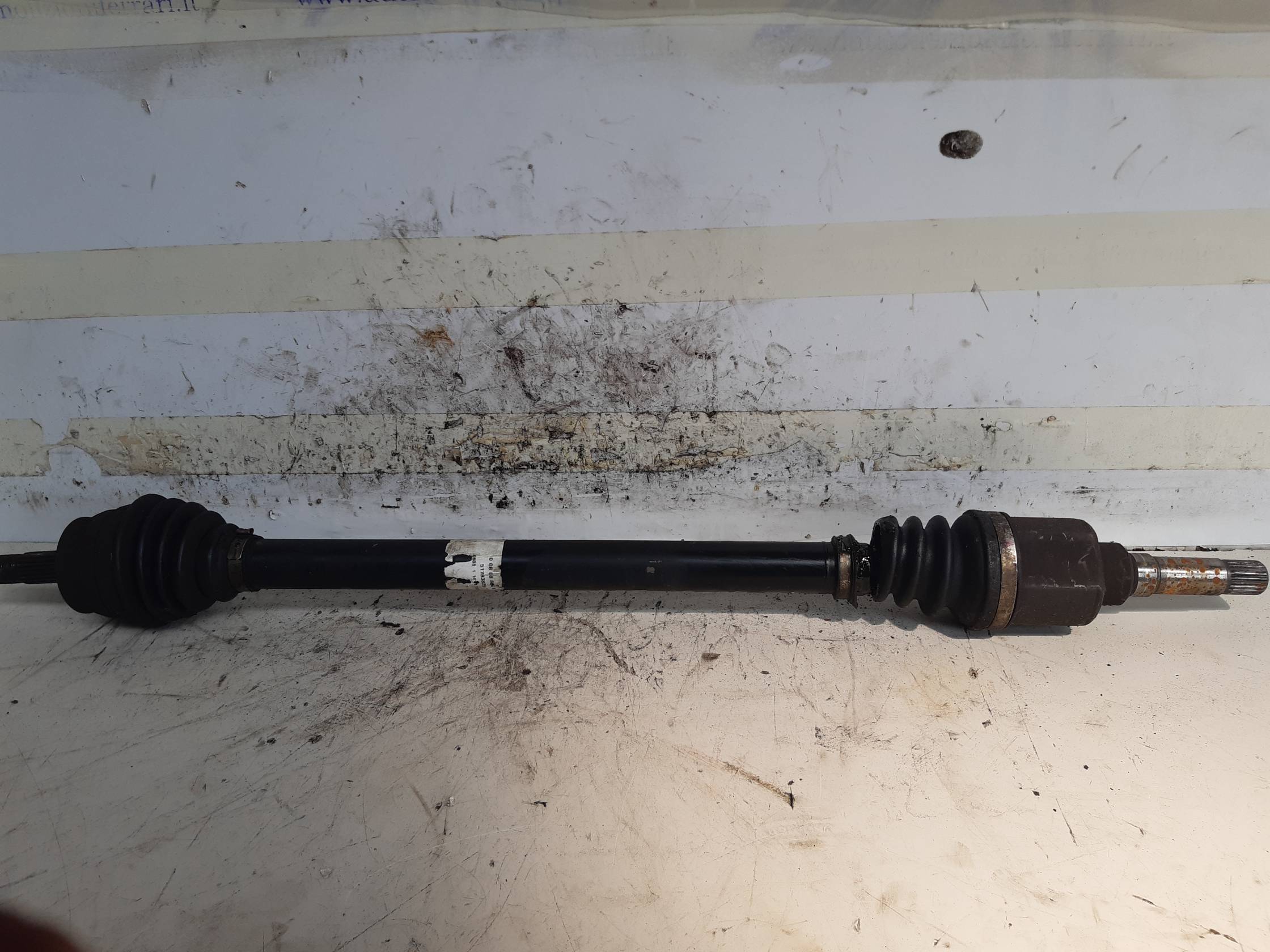 Semialbero ant. compl. dx.