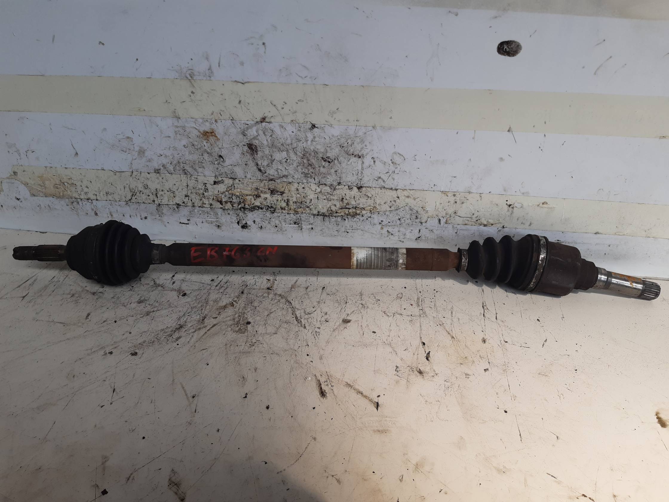 Semialbero ant. compl. dx.