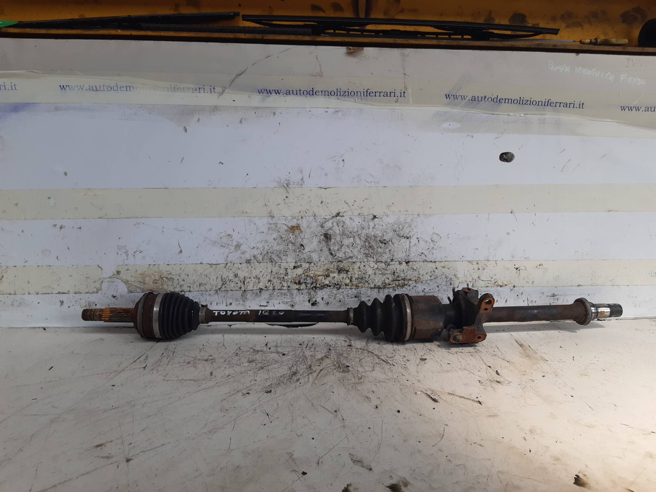 Semialbero ant. compl. dx.