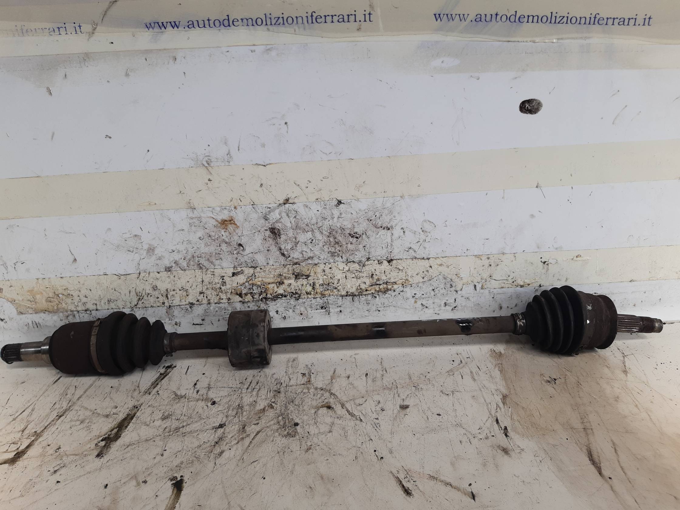 Semialbero ant. compl. dx.