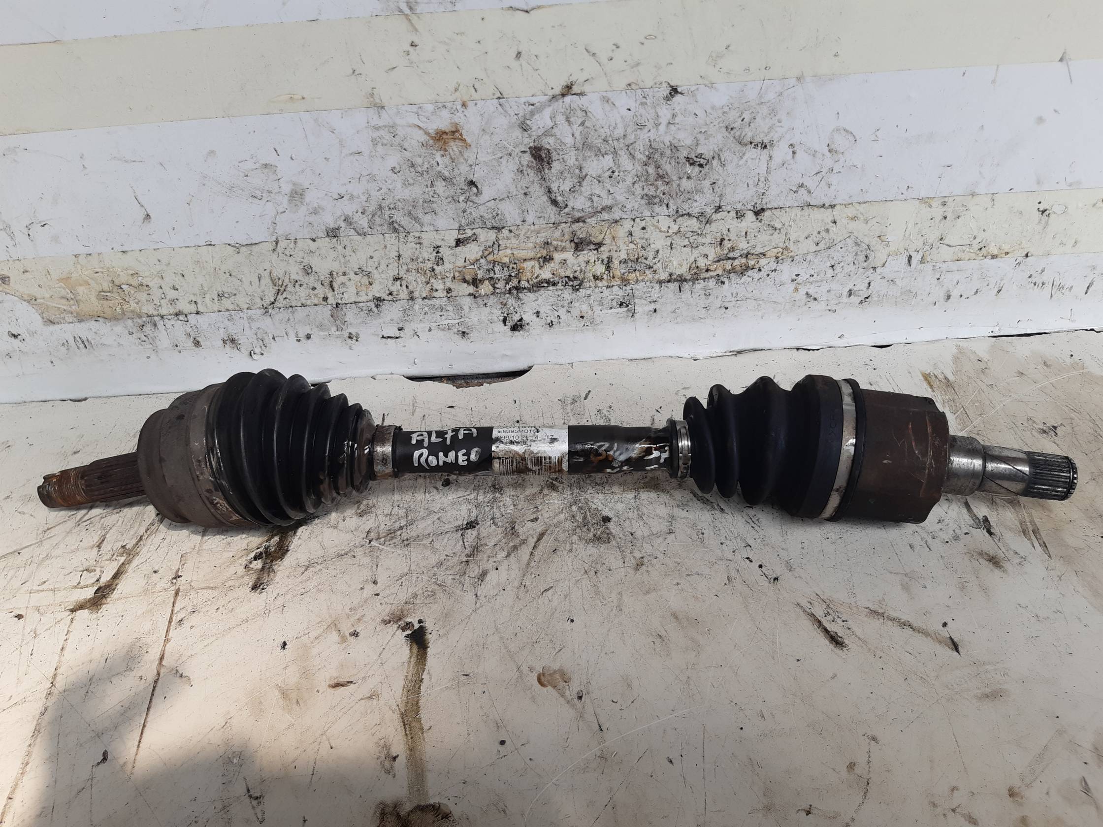 Semialbero ant. compl. dx.