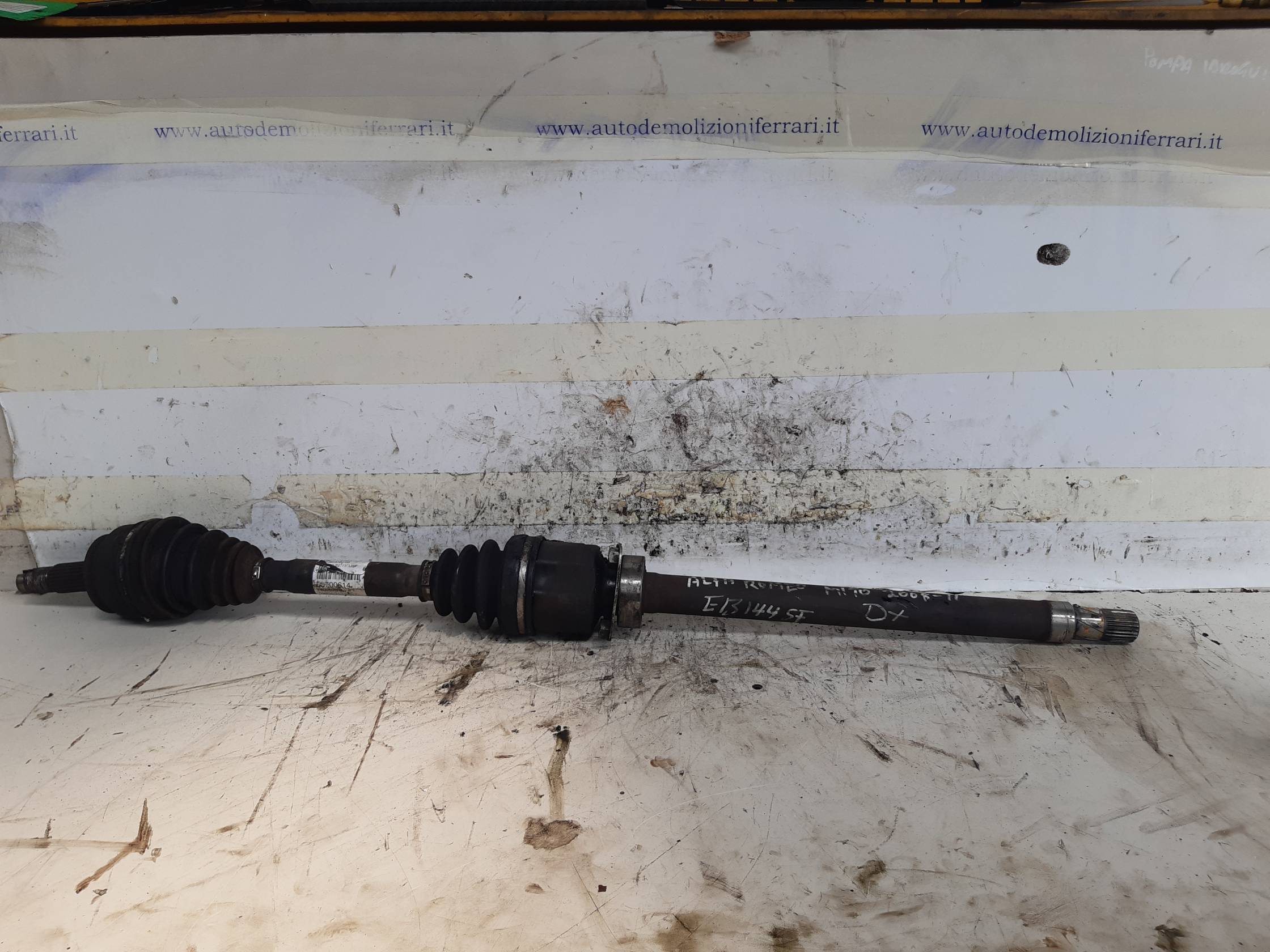 Semialbero ant. compl. dx.