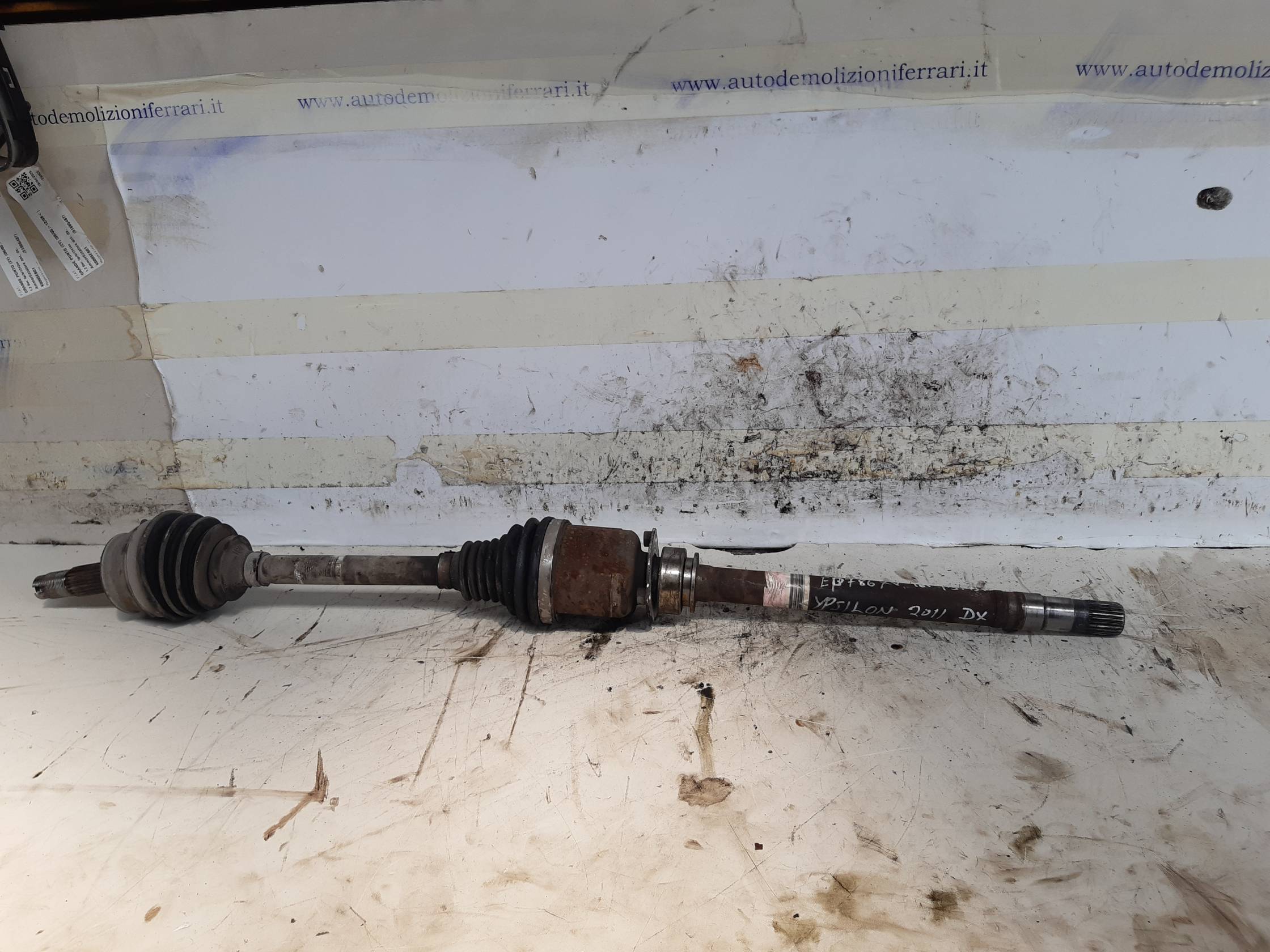 Semialbero ant. compl. dx. Semialbero ant. compl. dx.