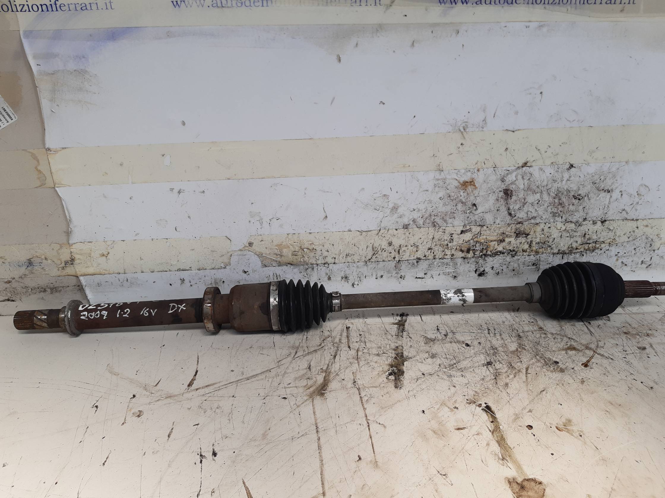 Semialbero ant. compl. dx.