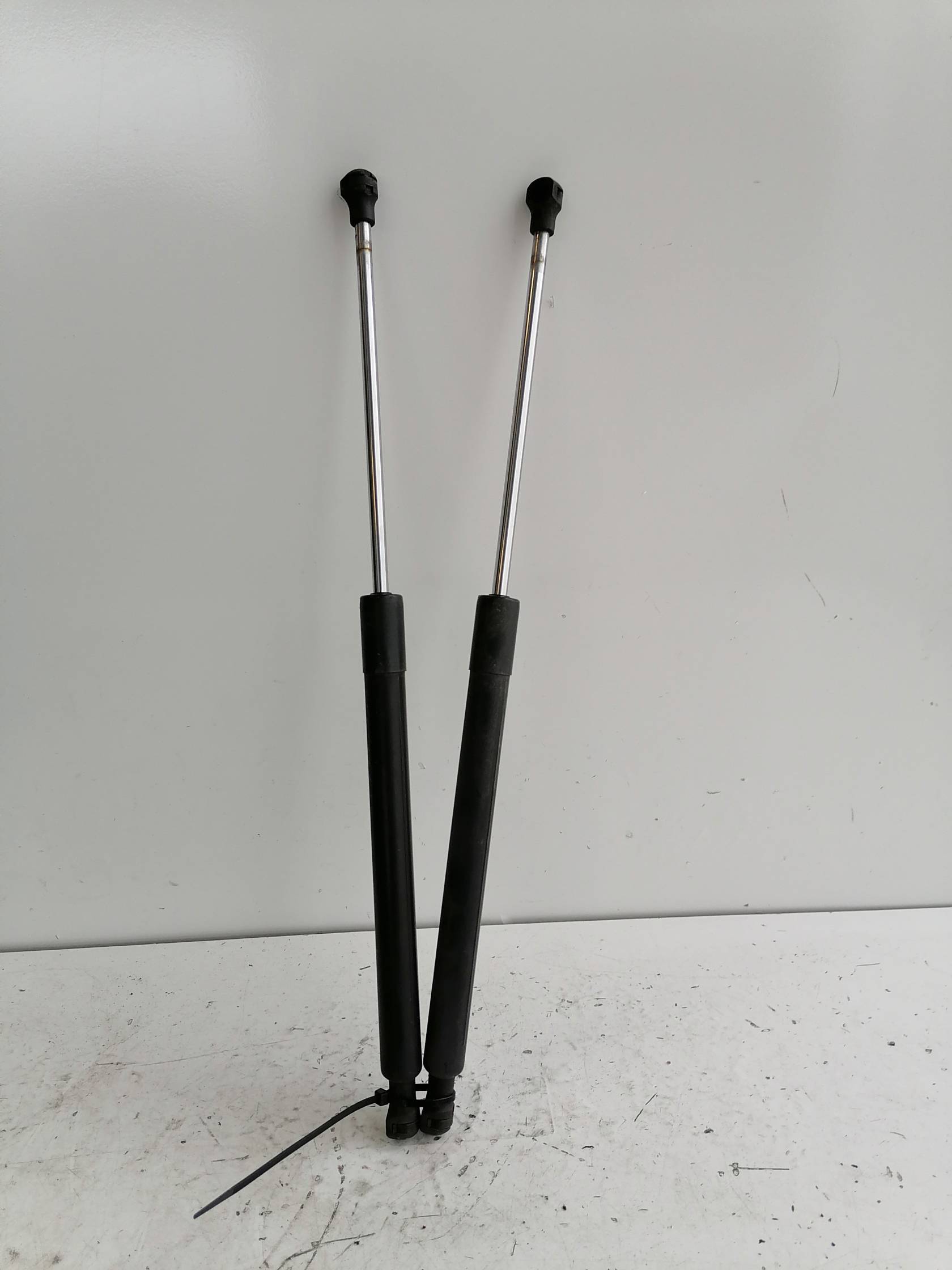 Asta ammortizzante portello post. sx.