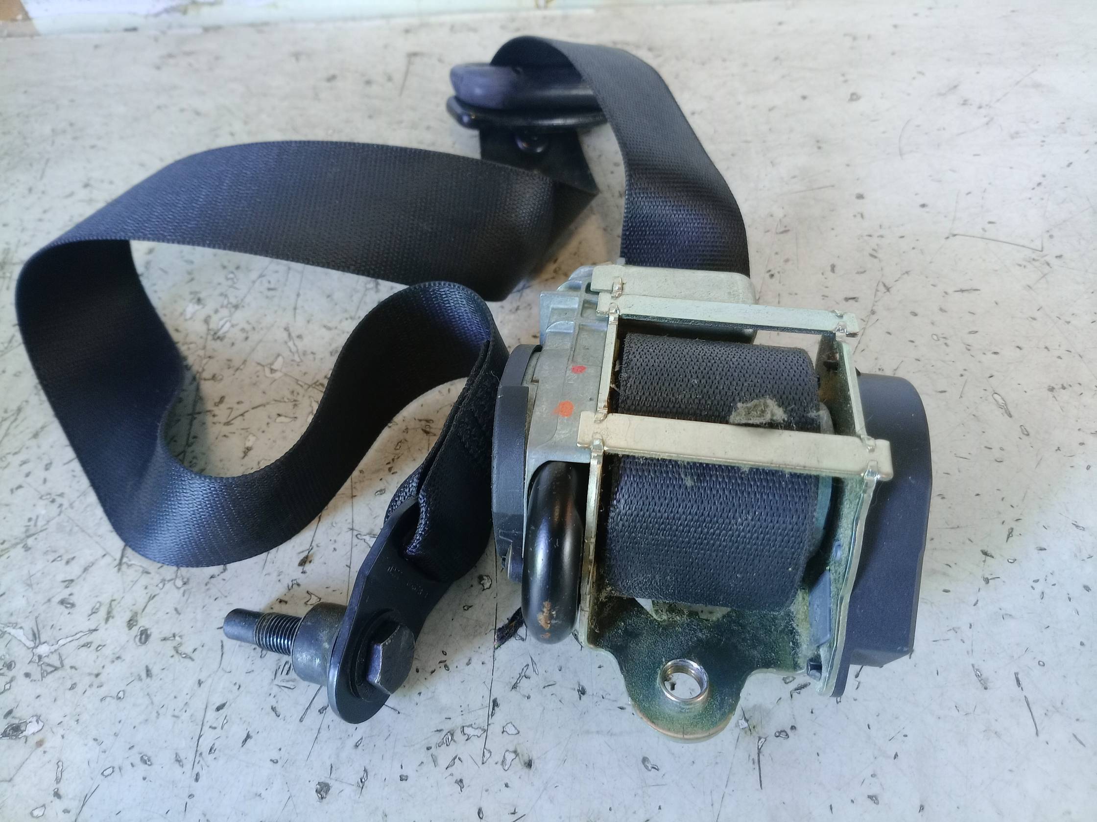 Cintura di sicurezza ant. sx.