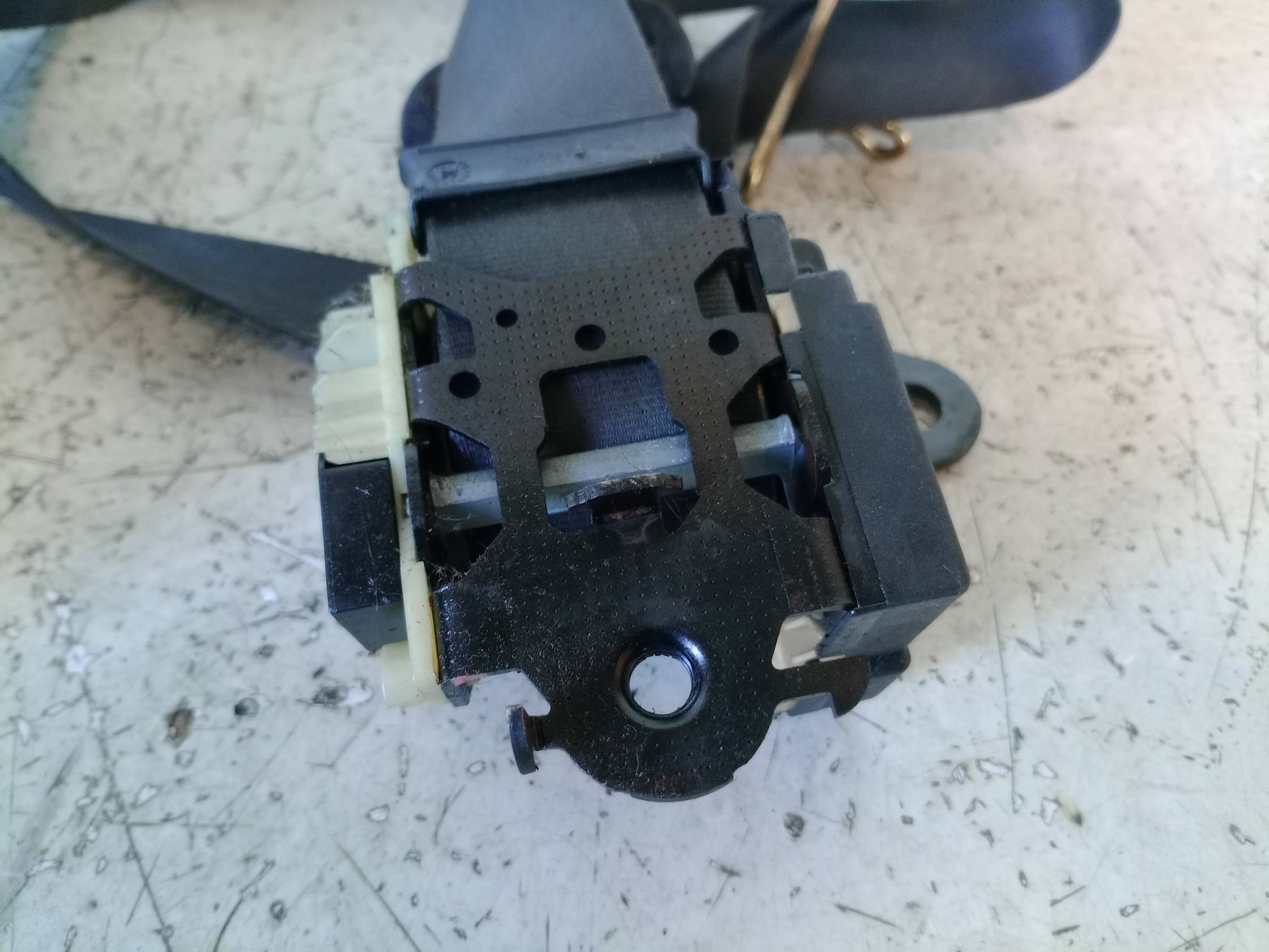 Cintura di sicurezza ant. sx.