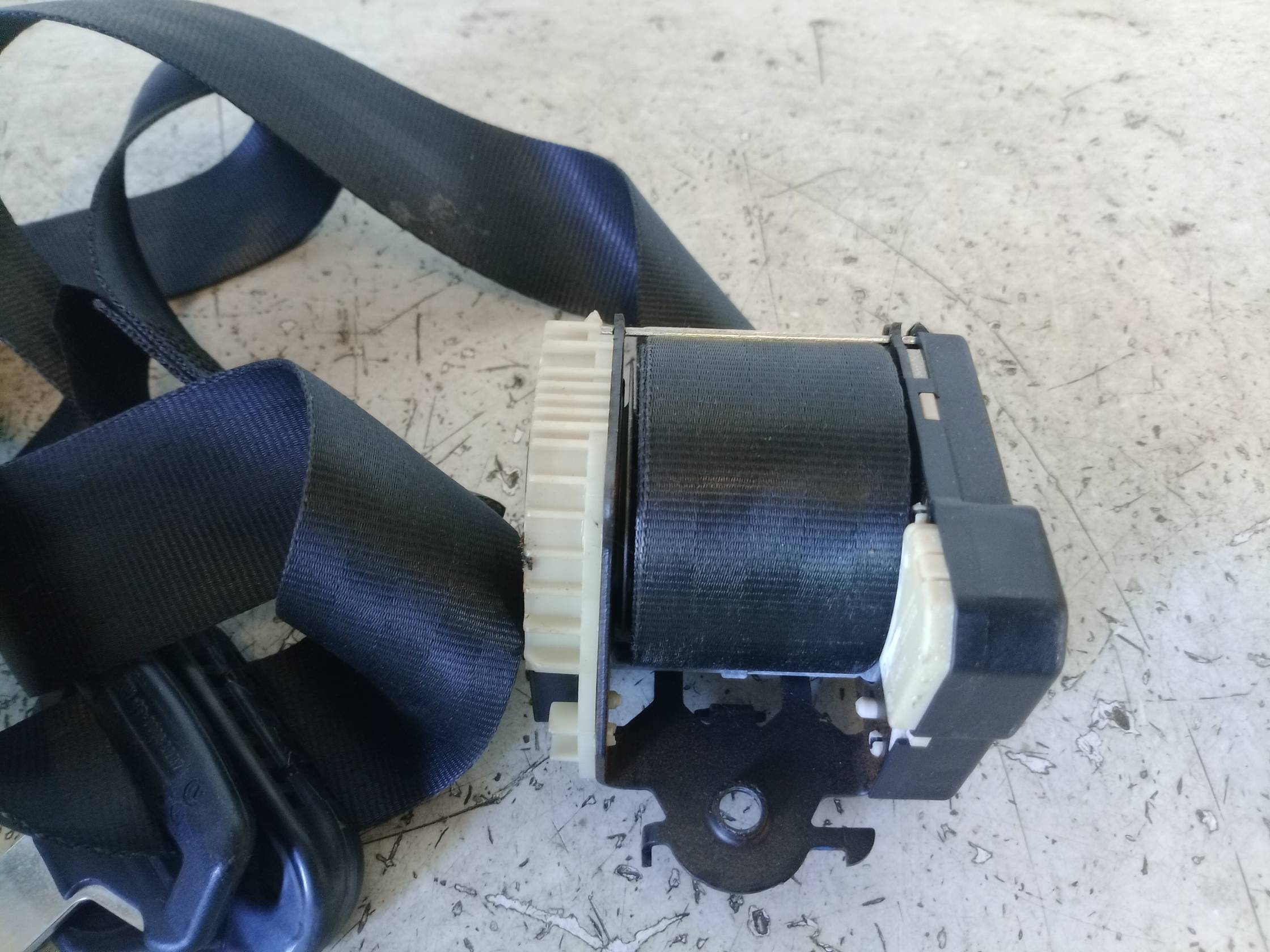 Cintura di sicurezza ant. dx.