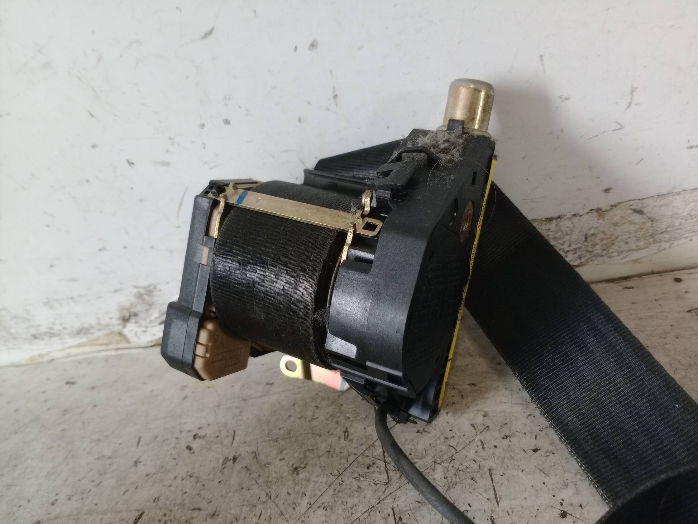 Cintura di sicurezza ant. sx.