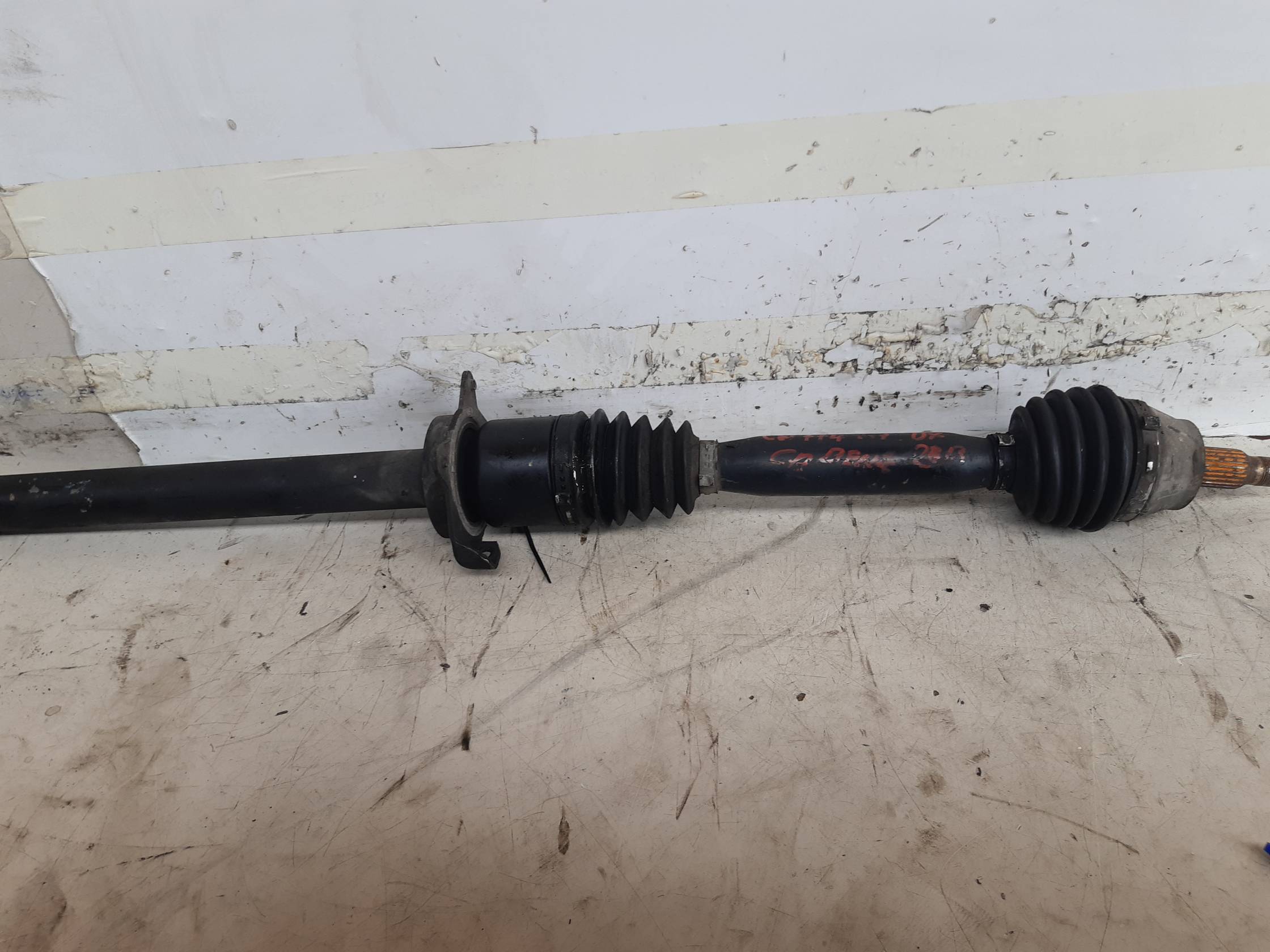 Semialbero ant. compl. dx.