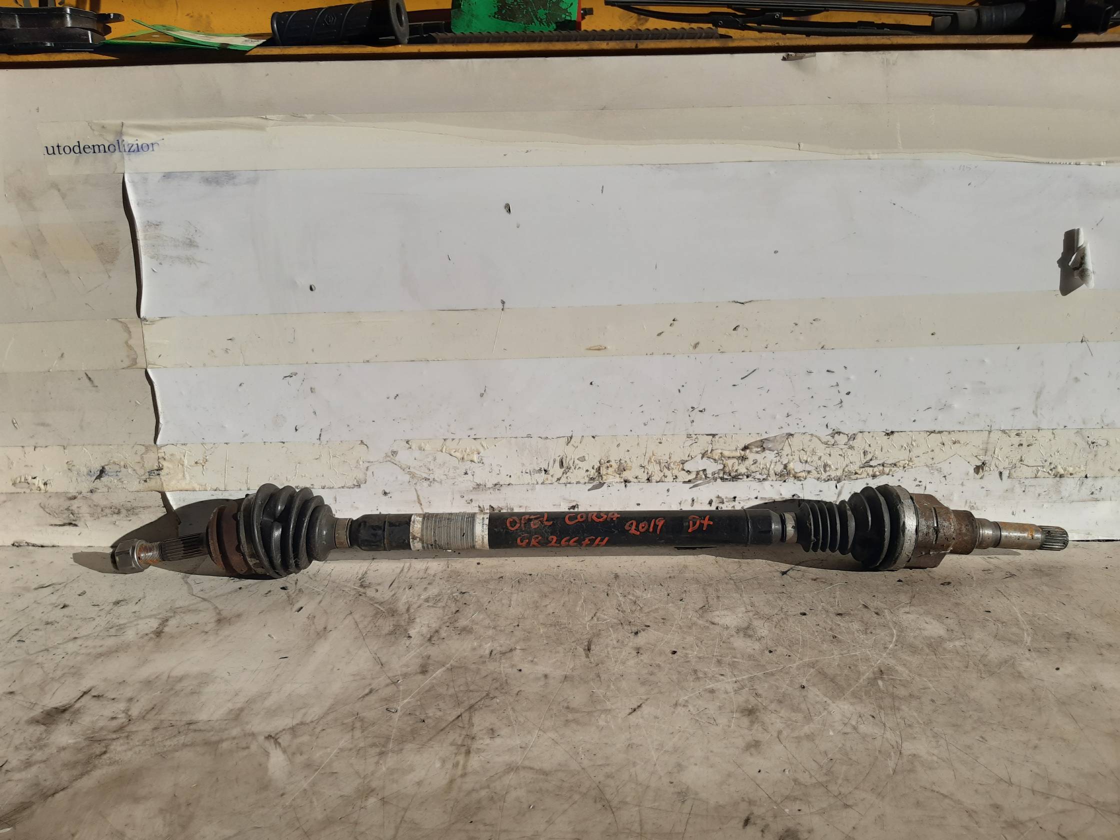 Semialbero ant. compl. dx.