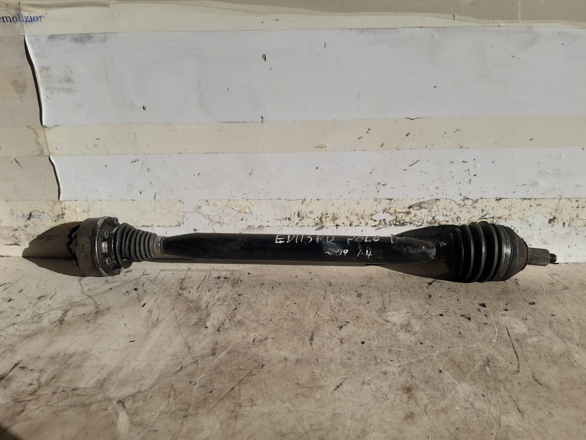 Semialbero ant. compl. dx.