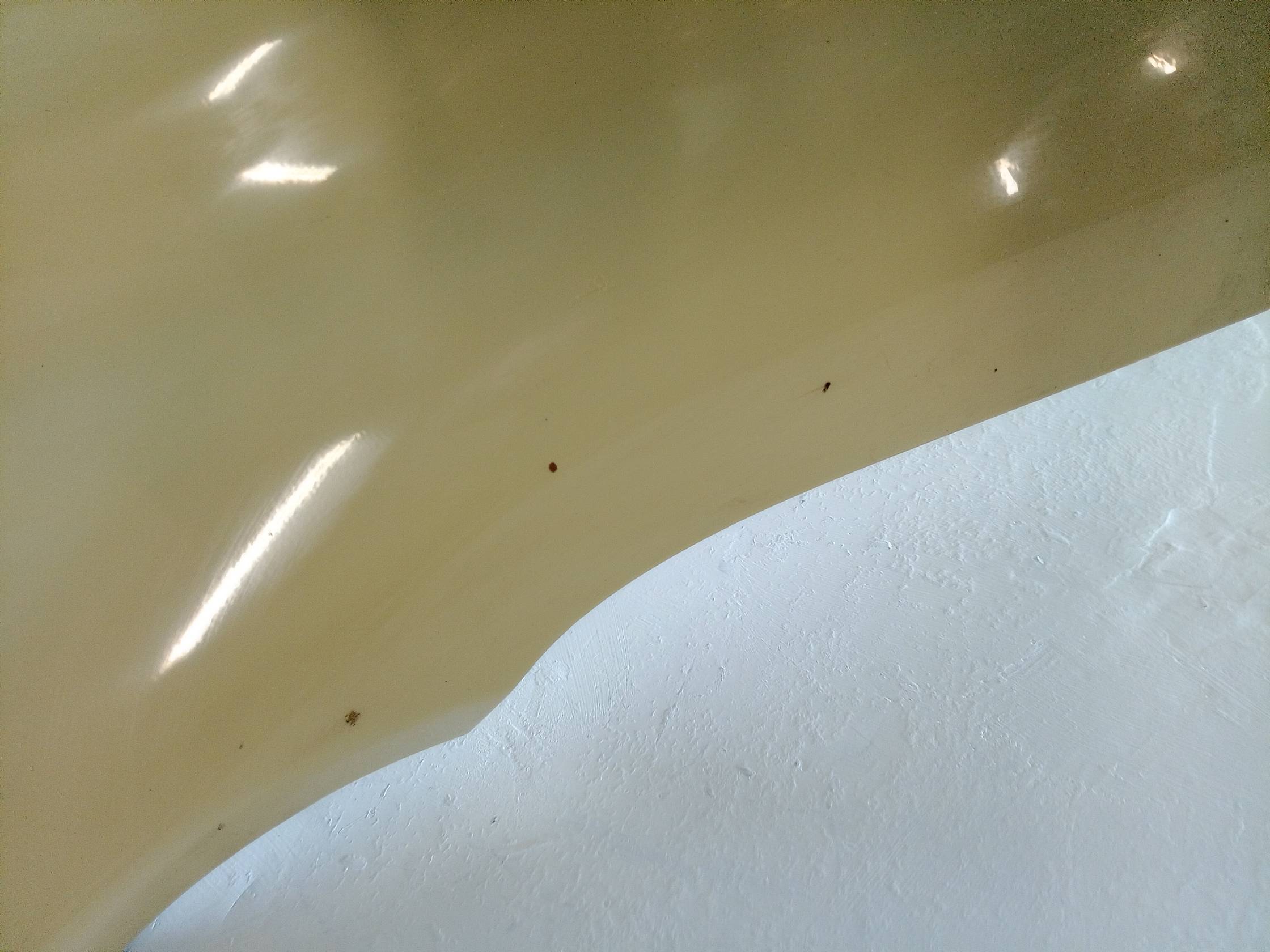 Parafango ant. sx.