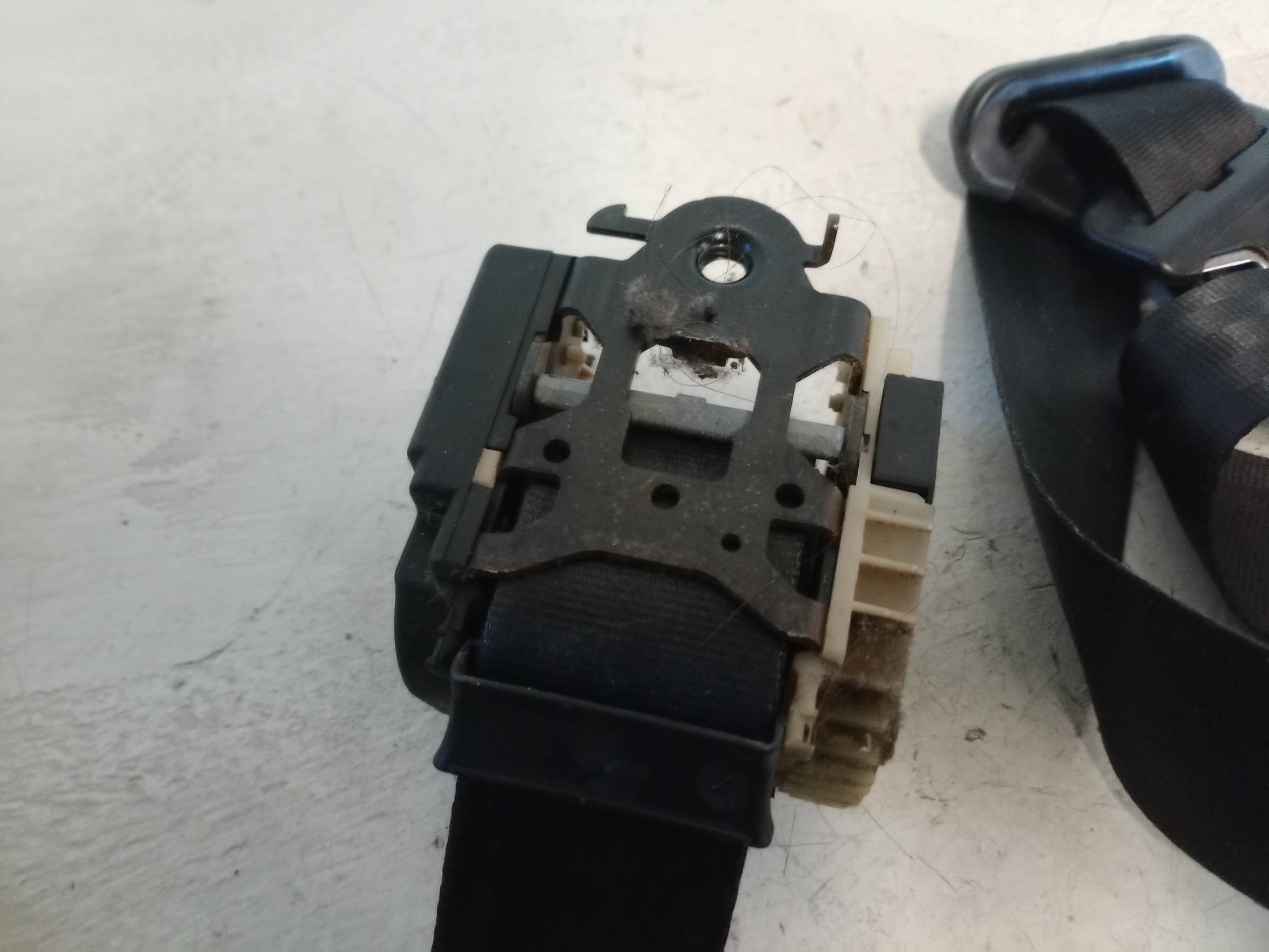 Cintura di sicurezza ant. dx.